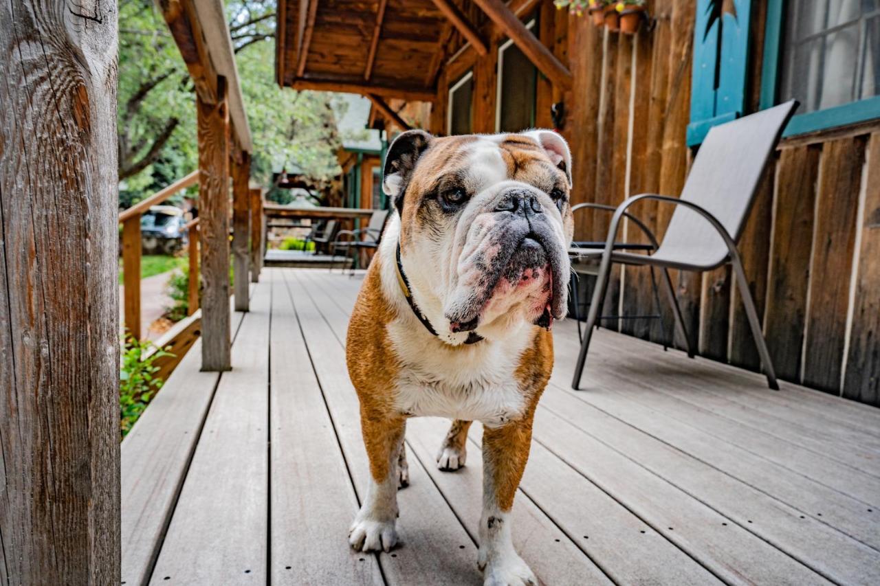 Colorado Bear Creek Cabins Evergreen Luaran gambar